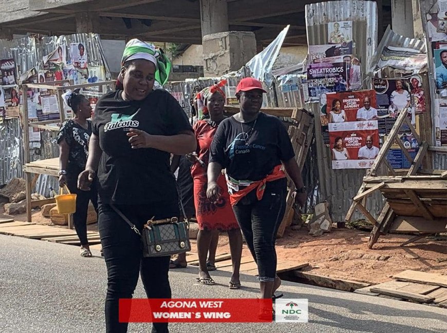 Women’s Wing hit the streets to file posters